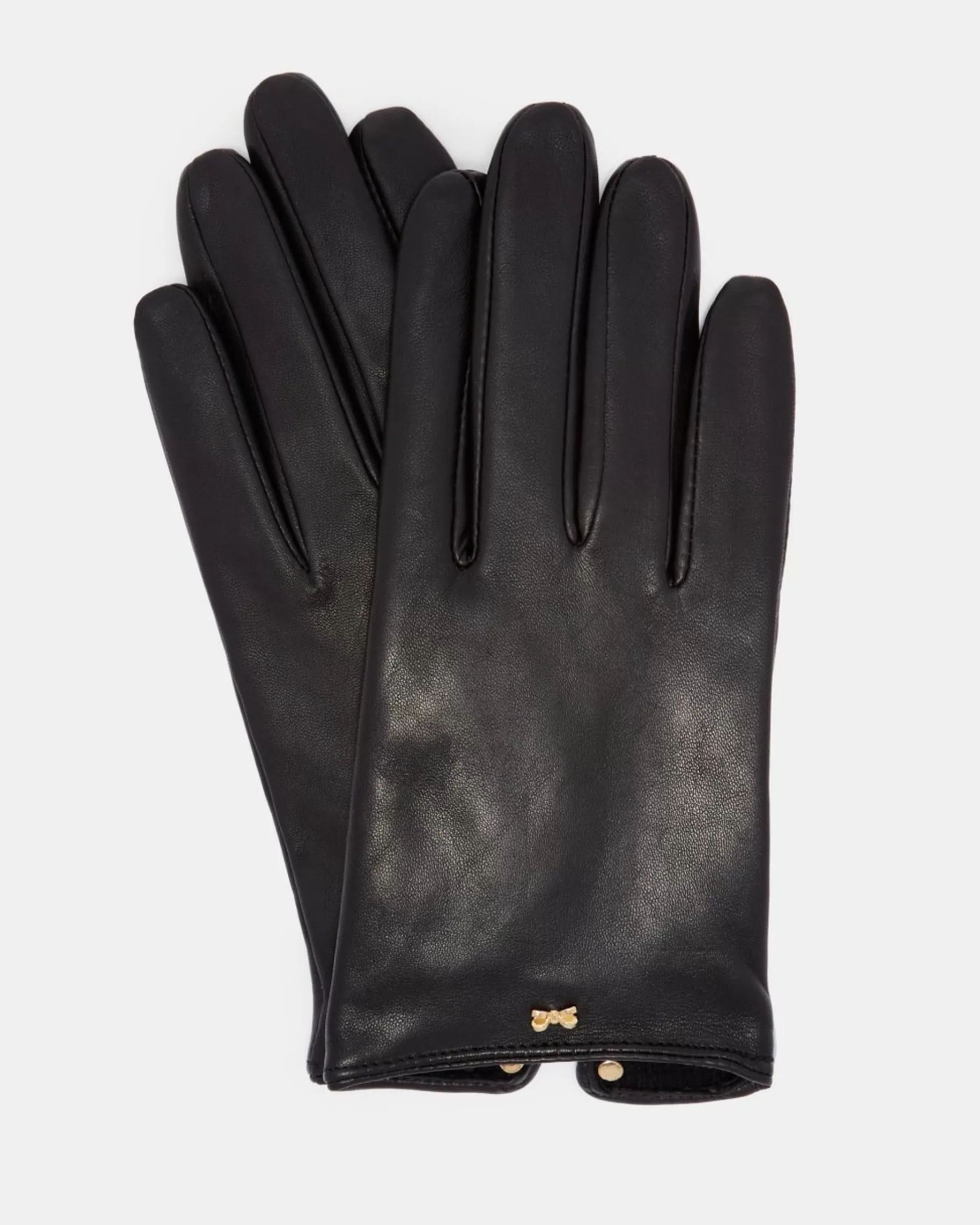 Bowsii-Ted Baker Shop