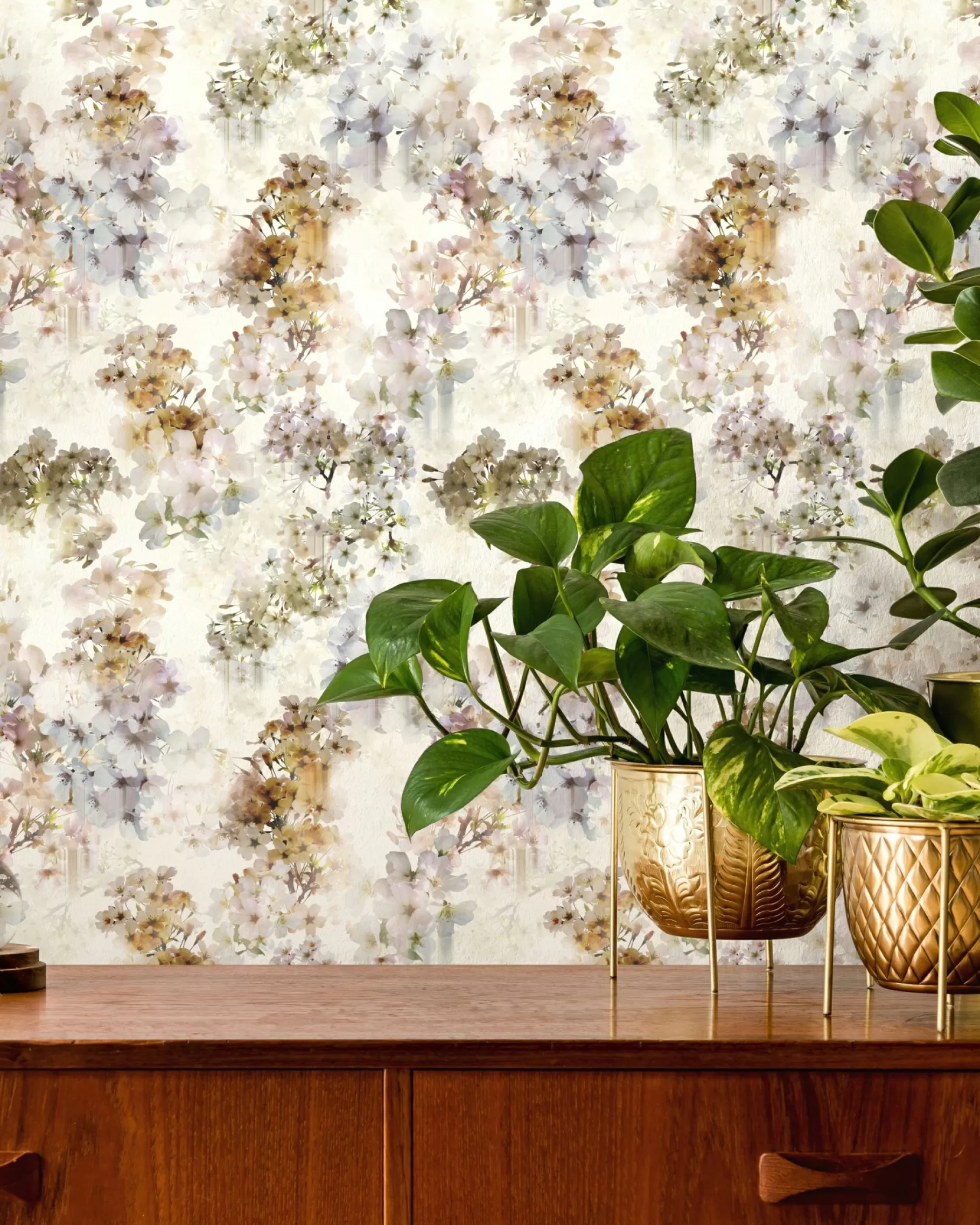 Vanwi-Ted Baker Best